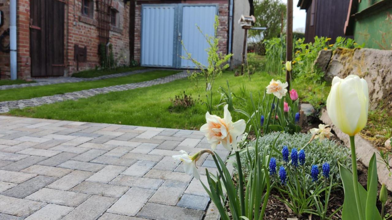 Ferienhaus Blaue Blume Mit 11 Kw Ladestation, Kamin, Terrasse, Eingezaeuntem Garten, Sauna, Wlan, Netflix, 2 Hunde Willkommen! Güntersberge Kültér fotó