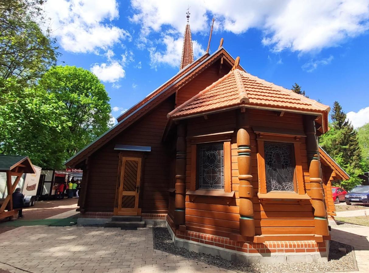 Ferienhaus Blaue Blume Mit 11 Kw Ladestation, Kamin, Terrasse, Eingezaeuntem Garten, Sauna, Wlan, Netflix, 2 Hunde Willkommen! Güntersberge Kültér fotó