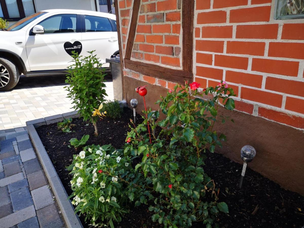 Ferienhaus Blaue Blume Mit 11 Kw Ladestation, Kamin, Terrasse, Eingezaeuntem Garten, Sauna, Wlan, Netflix, 2 Hunde Willkommen! Güntersberge Kültér fotó
