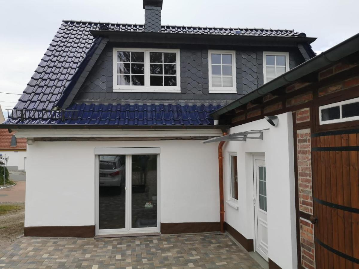Ferienhaus Blaue Blume Mit 11 Kw Ladestation, Kamin, Terrasse, Eingezaeuntem Garten, Sauna, Wlan, Netflix, 2 Hunde Willkommen! Güntersberge Kültér fotó