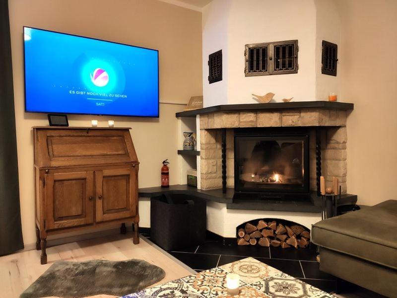 Ferienhaus Blaue Blume Mit 11 Kw Ladestation, Kamin, Terrasse, Eingezaeuntem Garten, Sauna, Wlan, Netflix, 2 Hunde Willkommen! Güntersberge Kültér fotó