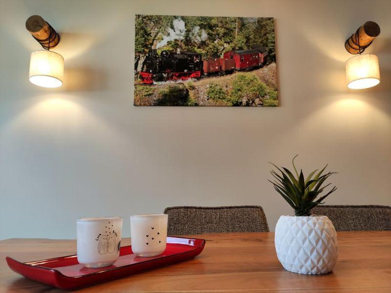 Ferienhaus Blaue Blume Mit 11 Kw Ladestation, Kamin, Terrasse, Eingezaeuntem Garten, Sauna, Wlan, Netflix, 2 Hunde Willkommen! Güntersberge Kültér fotó
