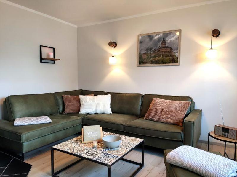 Ferienhaus Blaue Blume Mit 11 Kw Ladestation, Kamin, Terrasse, Eingezaeuntem Garten, Sauna, Wlan, Netflix, 2 Hunde Willkommen! Güntersberge Kültér fotó