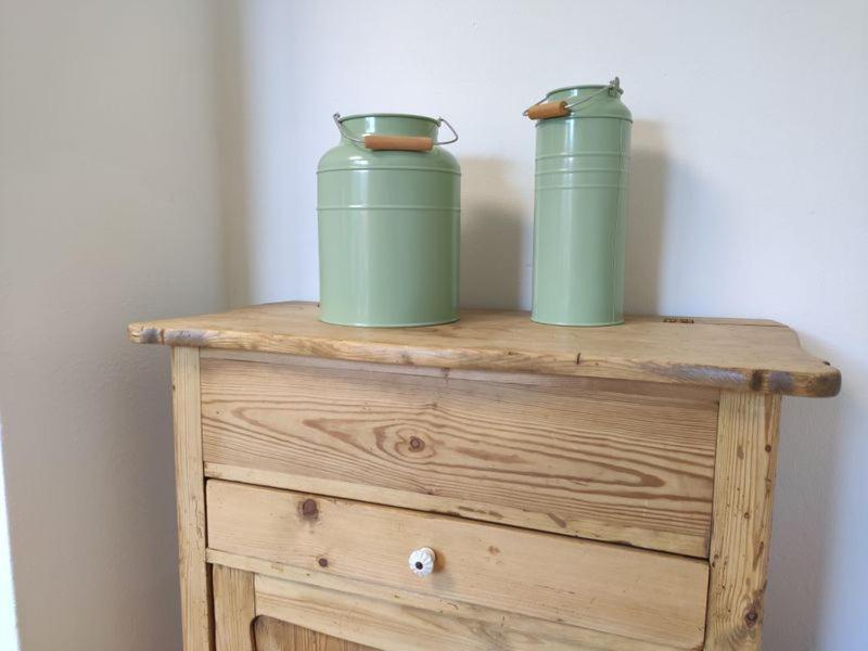 Ferienhaus Blaue Blume Mit 11 Kw Ladestation, Kamin, Terrasse, Eingezaeuntem Garten, Sauna, Wlan, Netflix, 2 Hunde Willkommen! Güntersberge Kültér fotó