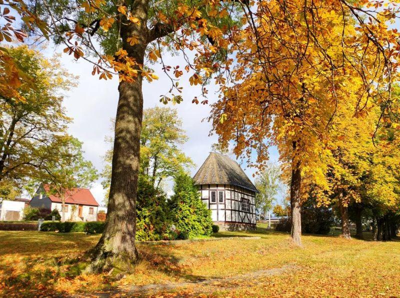 Ferienhaus Blaue Blume Mit 11 Kw Ladestation, Kamin, Terrasse, Eingezaeuntem Garten, Sauna, Wlan, Netflix, 2 Hunde Willkommen! Güntersberge Kültér fotó